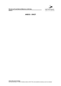 miniatura de PDMS_RelatorioANEXO_SWOT