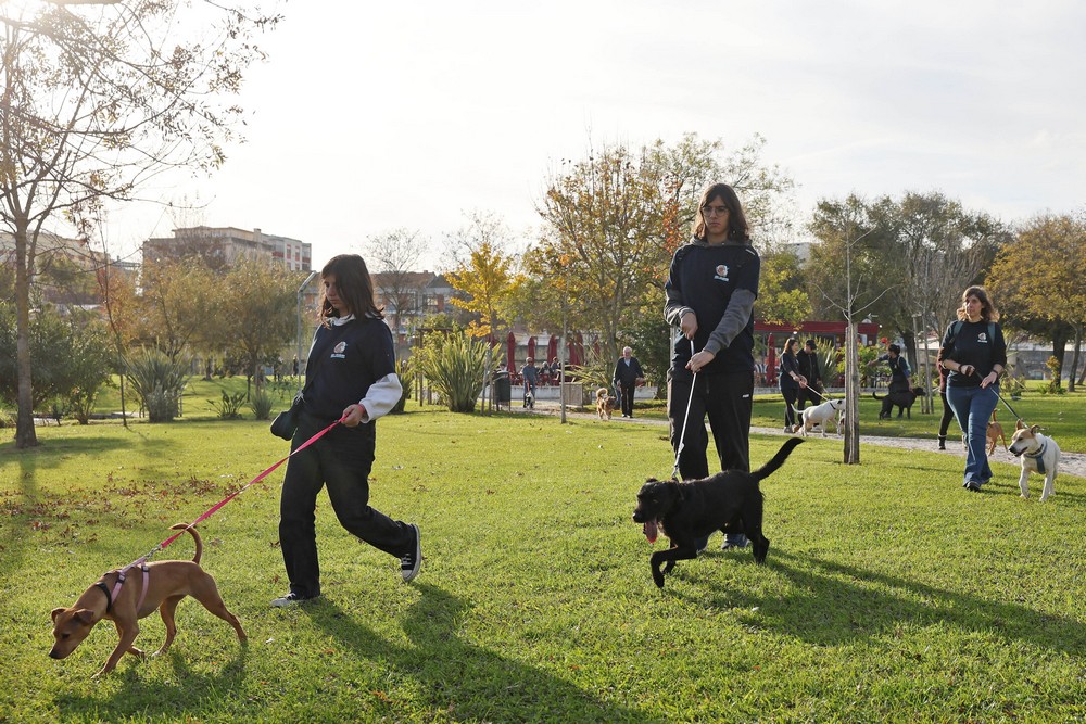 Cãominhada de Natal CROAC – Centro de Recolha Oficial de Animais de Companhia do Município de Setúbal