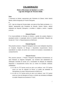 miniatura de 30-DCDJ-DIDES 49-2025-Anexo V