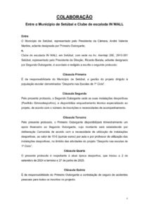 miniatura de 30-DCDJ-DIDES 49-2025-Anexo VIII