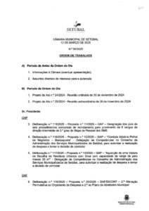 miniatura de Ordem_Trabalhos-12mar2025