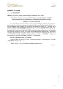 miniatura de DR_2ª_série_n.º_74_de_15_de_abril_de_2025-1