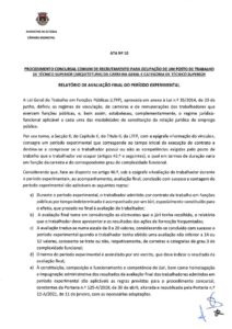 miniatura de ata N.º 10
