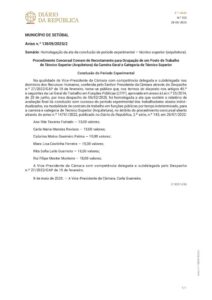 miniatura de DR_2ª_série_n.º_102_de_28_de_maio_de_2025