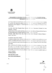 miniatura de Ata n.º 3 –