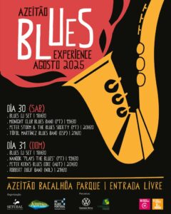 miniatura de PROGRAMA BLUES NET