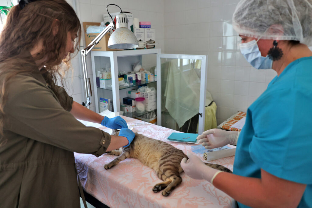 CROAC | Casa da Bicharada