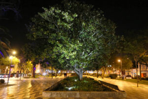 Iluminação pública