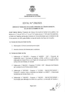 miniatura de Edital nº 208