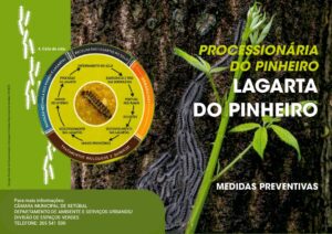 miniatura de FLYER LAGARTA