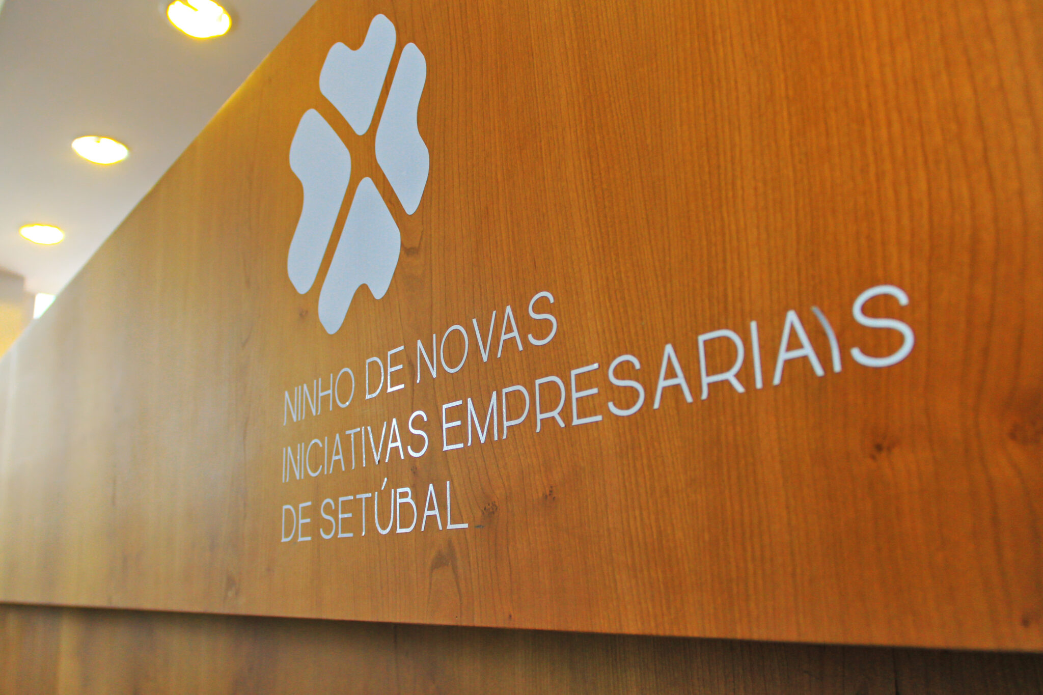 NNIES – Ninho de Novas Iniciativas Empresariais