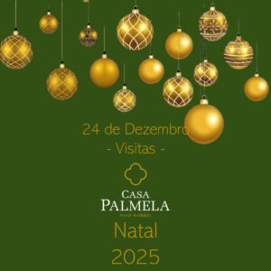 miniatura de Casa Palmela 24 NATAL PASSANTES