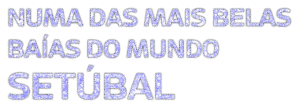 Fim de Ano Azul