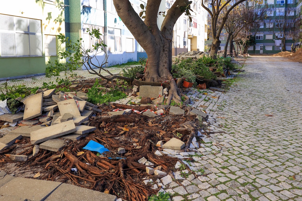 Construção do espaço público nas traseiras da Rua de Vanicelos e da Praceta das Amoreiras