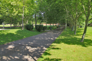Jardim de Vanicelos