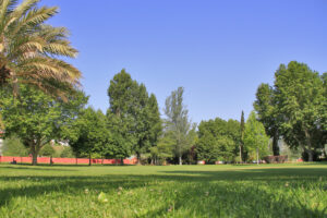 Jardim de Vanicelos