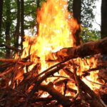 Queimadas e Queima de Sobrantes