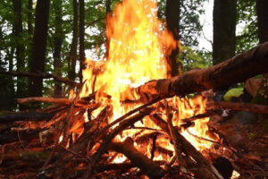 Queimadas e Queima de Sobrantes