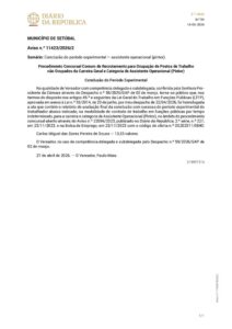 miniatura de DR_2ª_série_n.º_94_de_15_de_maio_de_2025