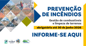 Prevenção de Incêndios Florestais 2026 | Prorrogação do prazo e informações