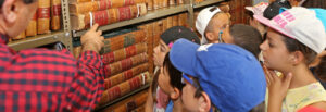 Serviço Educativo dos Museus