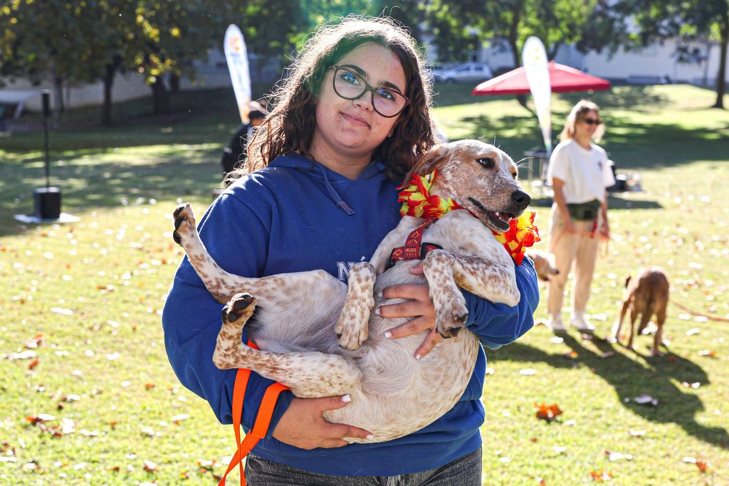 Menina com cão ao colo no Parque da Lanchôa