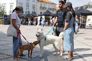 Um dia dedicado aos animais de companhia, com desfiles, adoção responsável e diversão para toda a família